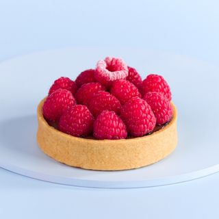 Equatoriale monoporzione