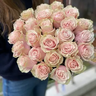 Rosas Rosas 25 Uds.