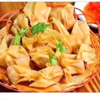 Wantun De Carne Frito