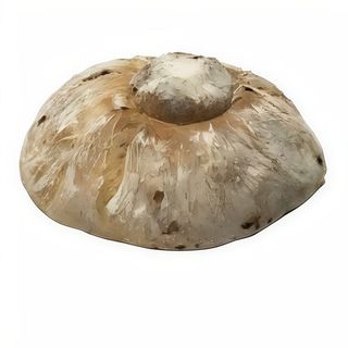 Pan Artesano Gallego