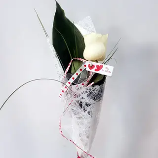Rosa Blanca natural