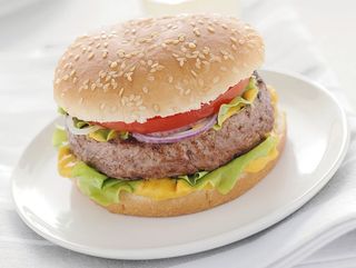 Hamburger ck filler