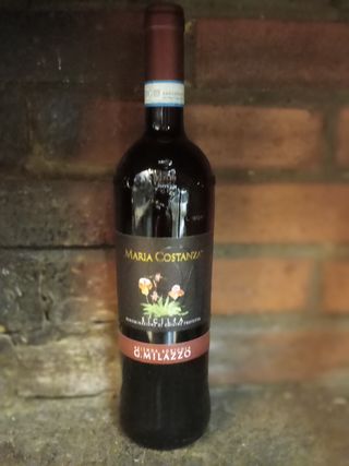 Maria Costanza