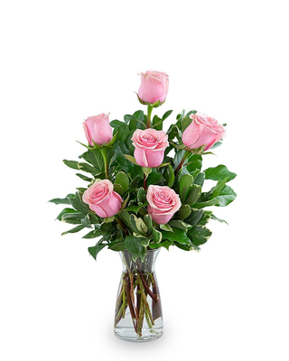 Media Docena Rosas Rosas