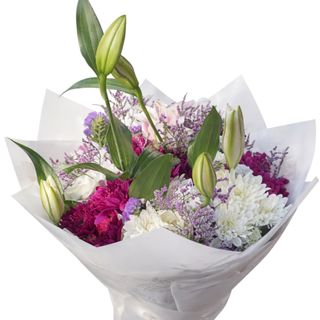 The Verdant Meadow Bloom