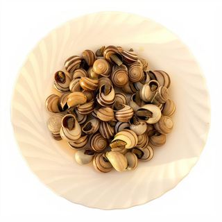 Cargols a la Llauná