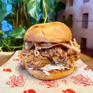 NEW Gallo Matto Bun