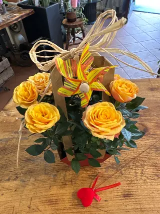 Roses
