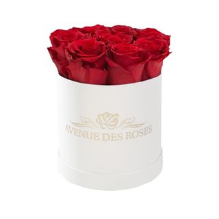 7 trandafiri criogenati rosii in cutie alba