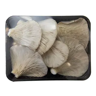 Setas Bandeja Peso Estimado 200 Gr.