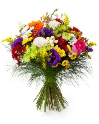 Bouquet provenzal (preferido)