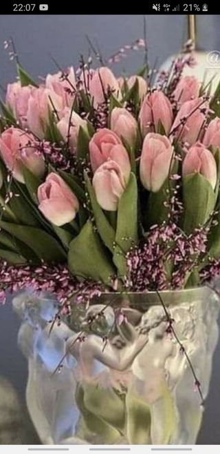 20 pezzi tulipani rose extra bouquet 