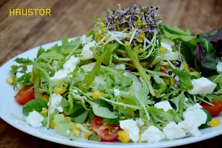 Proljetna salata