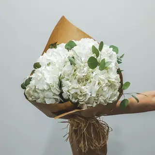 Ramo hortensias blancas (S)