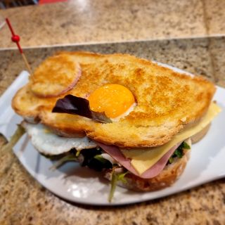 Sándwich Vegetal Payes  