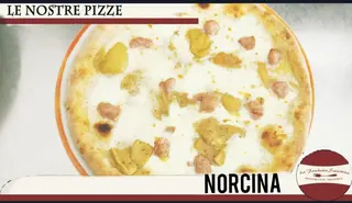 Norcina