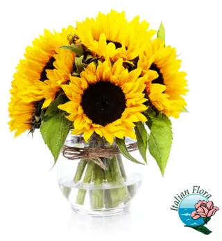 3 girasoli 
