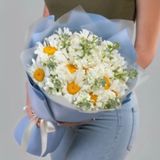 Matthiola și Margarete