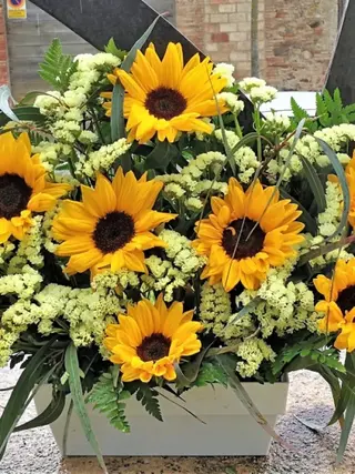 Centro Girasoles
