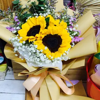 Girasole