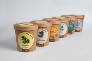 Set od 6 kutija (5 + 1 besplatna)