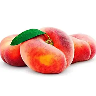 TABACCHIERE