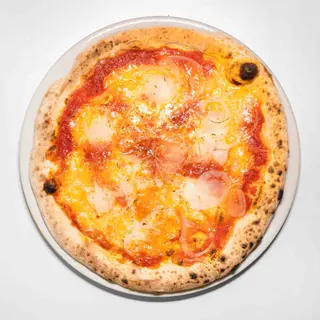 Cipolla