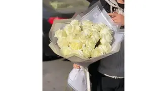 Jasmine 25