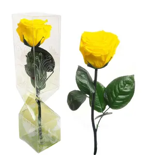 Rosa Eterna Amarilla Tallo  corto