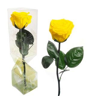 Rosa Eterna Amarilla Tallo  corto