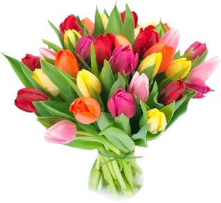 Ramo 25 Tulipanes 3264