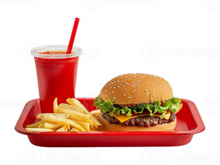 Jay Burger + Frites + Boisson