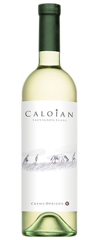 Caloian Sauvignon Blanc
