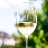 Вино Шардоне Біле, Сухе 1.5 Кг