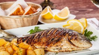 Ципура на скара