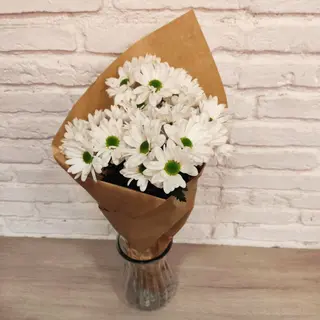 Margaritas Blancas