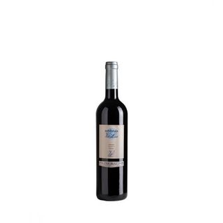 Embruix De Vall Llach 75 Cl