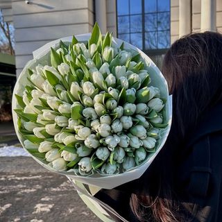 101 білий тюльпан в упакуванні 