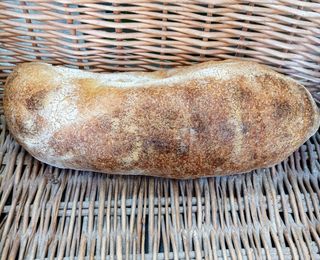Ciabatta 650g