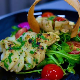 Calamar mediteranian