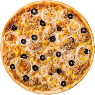 16 Tuna hudson (50 cm)