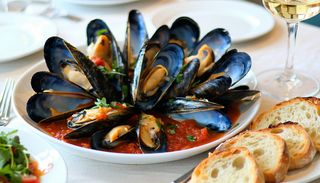 Platou midii in cochilie