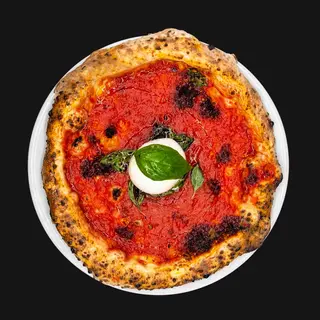 Calabrisella