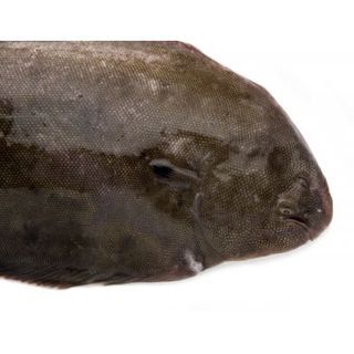 Filetes De Lenguado ria gallega  (350 Gr aprox .) Ud.