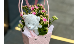 Małe kalanchoe z misiem