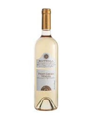 Pinot grigio 