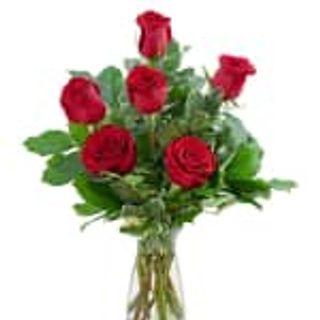 6 rose rosse