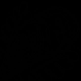 Uramaki philadelphia