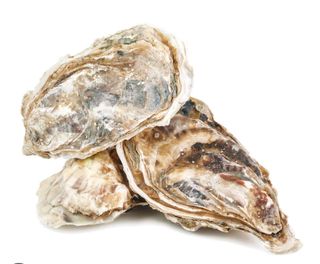 Ostra fina Gillardeau (Cerrada) 