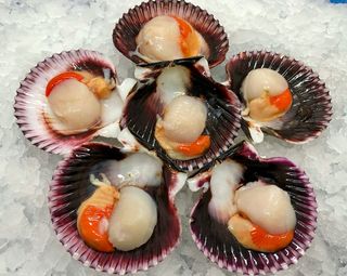 Zamburiñas Media Concha 12 Uds.